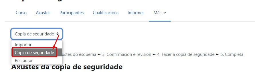 copia de seguridade
