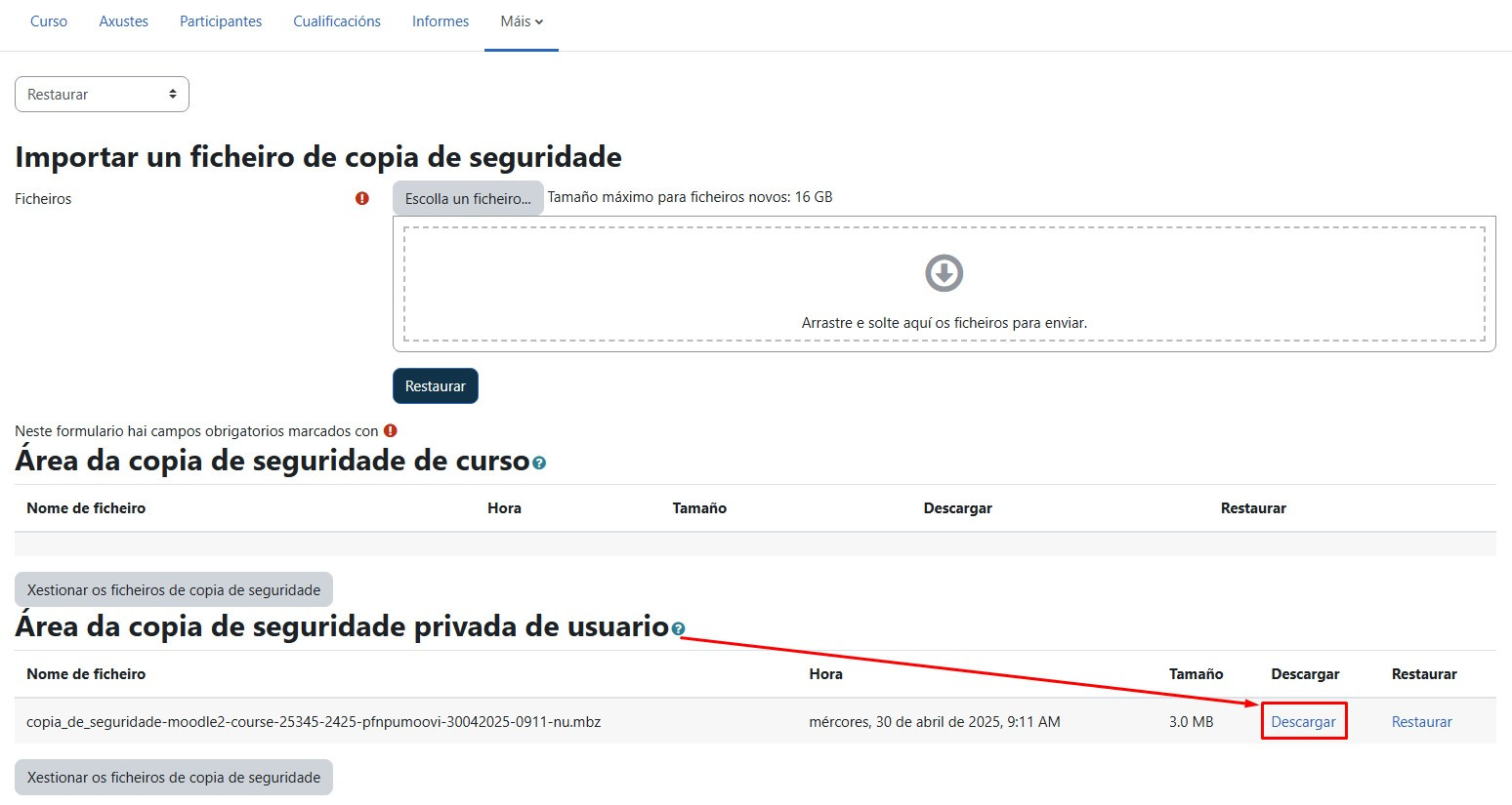 Descargar copia de seguridade